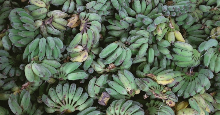 Health-Benefits-Of-Plantains
