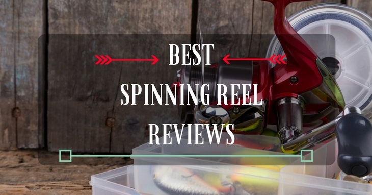best spinning reel reviews