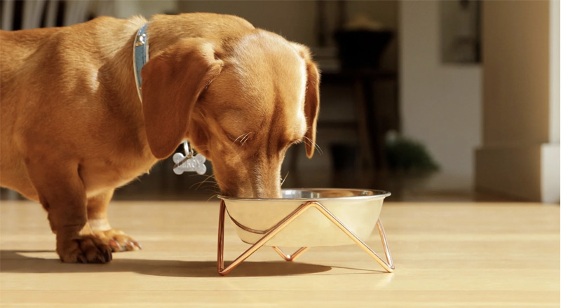 WOOF LUXE COPPER DOG BOWL