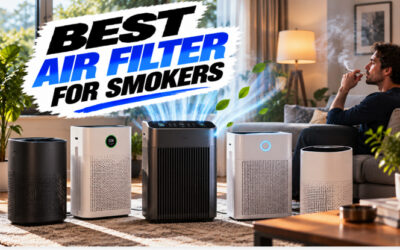 Best Air Filter For Smokers of 2026