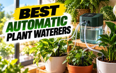 Best Automatic Plant Waterers of 2026