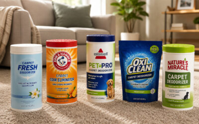 Best Carpet Deodorizers of 2026