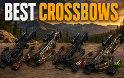 Best Crossbows of 2026