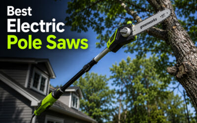 Best Electric Pole Saws of 2026
