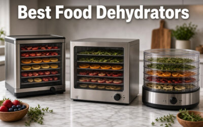 Best Food Dehydrators of 2026