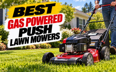Best Gas Powered Push Lawn Mowers of 2026