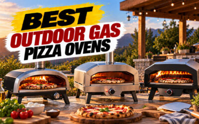 Best Outdoor Gas Pizza Ovens of 2026