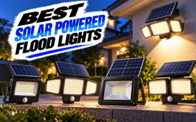 Best Solar Powered Flood Lights of 2026