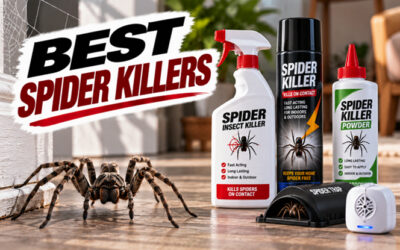 Best Spider Killers of 2026