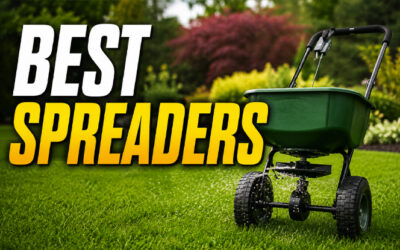 Best Spreaders of 2026