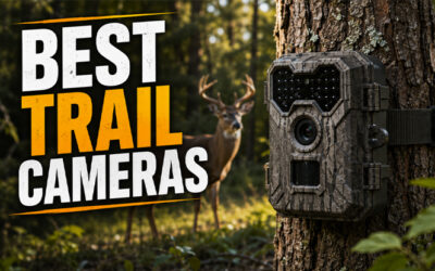 Best Trail Cameras of 2026