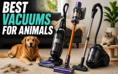 Best Vacuums For Animals of 2026