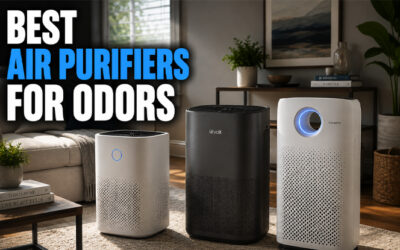 Best Air Purifiers For Odors of 2026