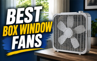 Best Box Window Fans of 2026