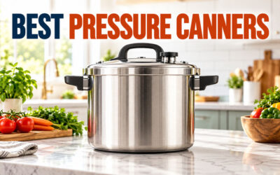 Best Pressure Canners of 2026